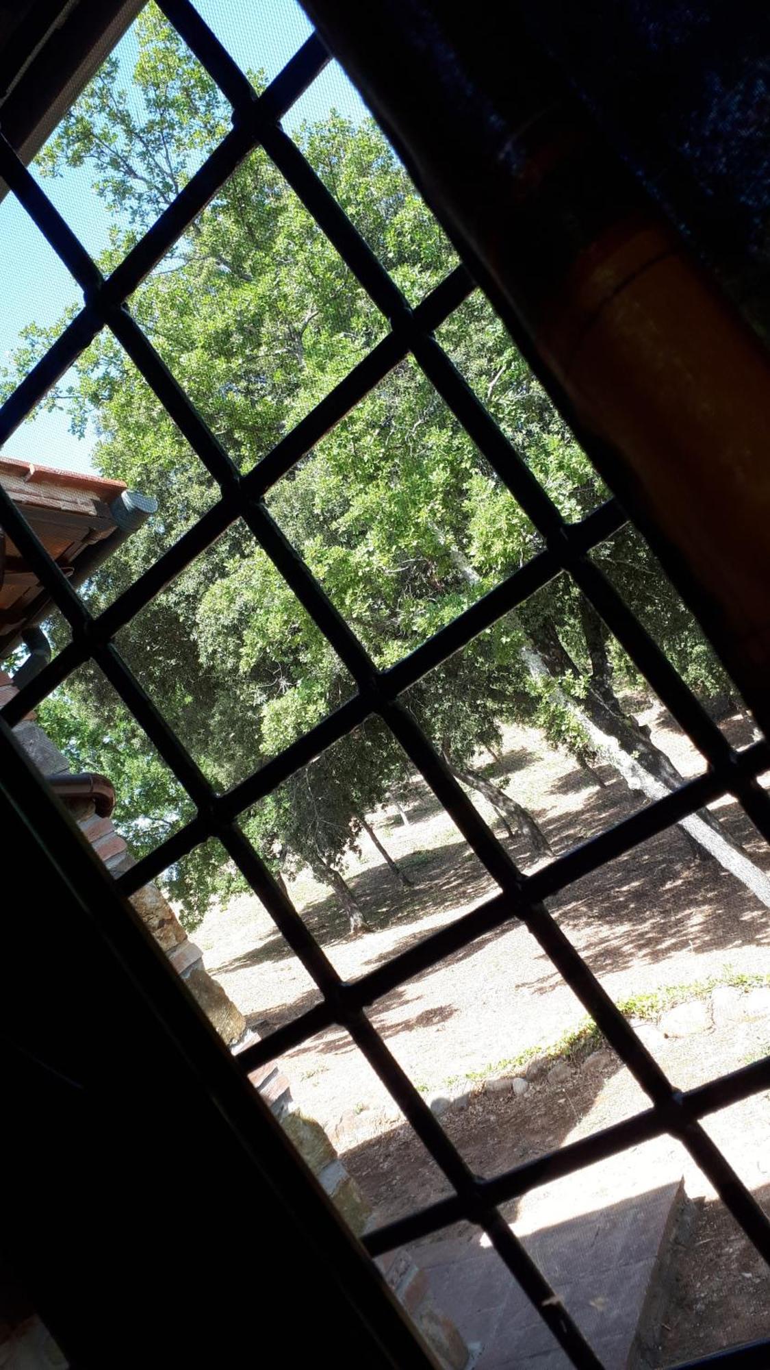 Agriturismo Podere San Lorenzo 1866 Massa Marittima Zewnętrze zdjęcie
