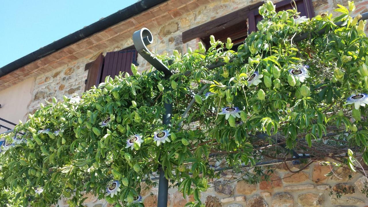Agriturismo Podere San Lorenzo 1866 Massa Marittima Zewnętrze zdjęcie