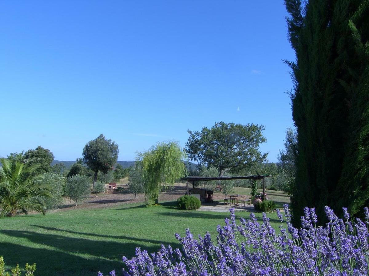 Agriturismo Podere San Lorenzo 1866 Massa Marittima Zewnętrze zdjęcie